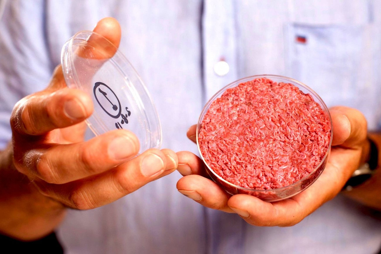 https://www.dotmug.net/wp-content/uploads/2017/09/20.-Carne-sintetica-Hamburger-in-vitro-Memphis-Meat-Cruelty-Free-Dotmug.jpg