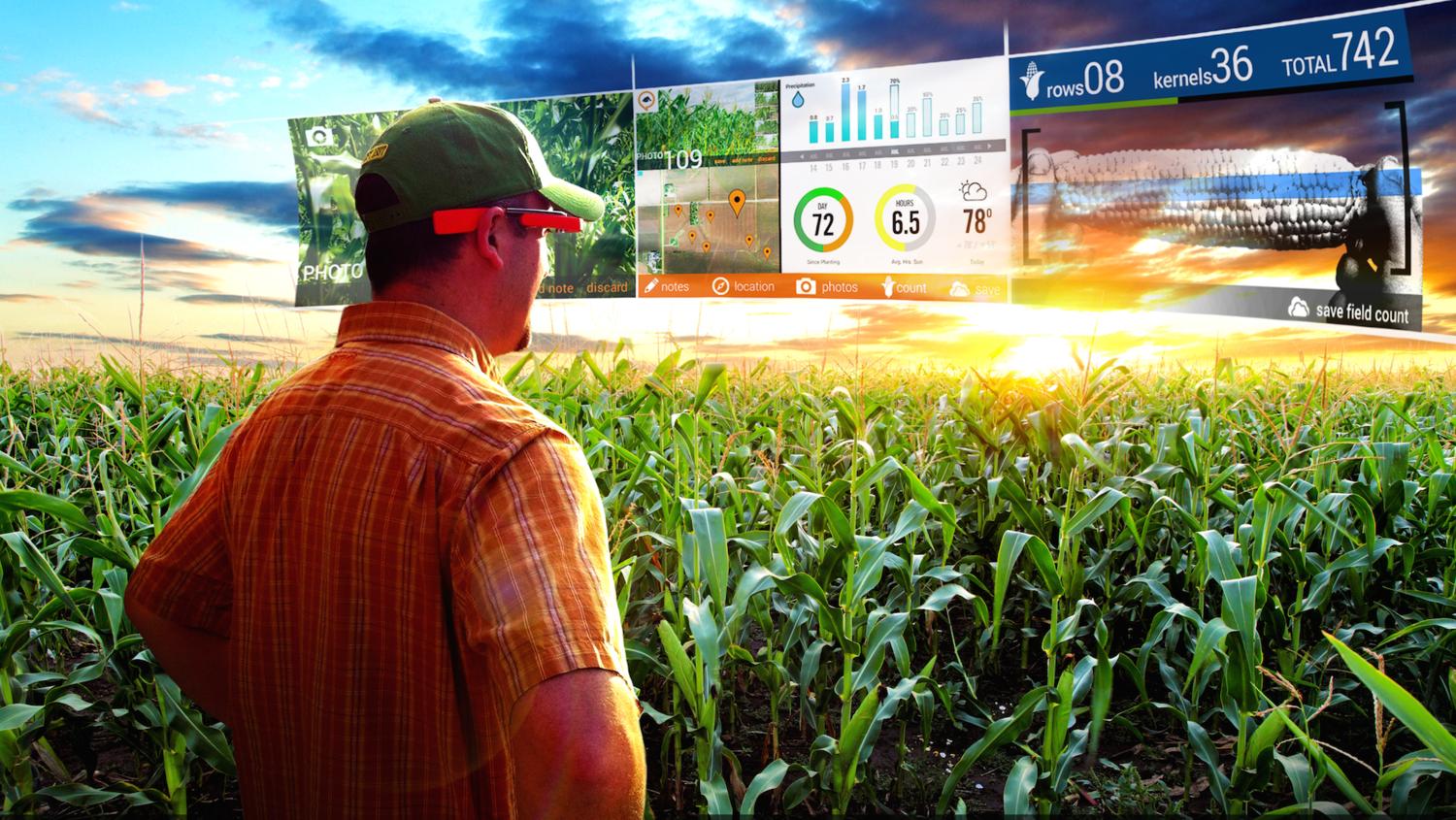 The Future of farming 4.0: drones and artificial intelligence