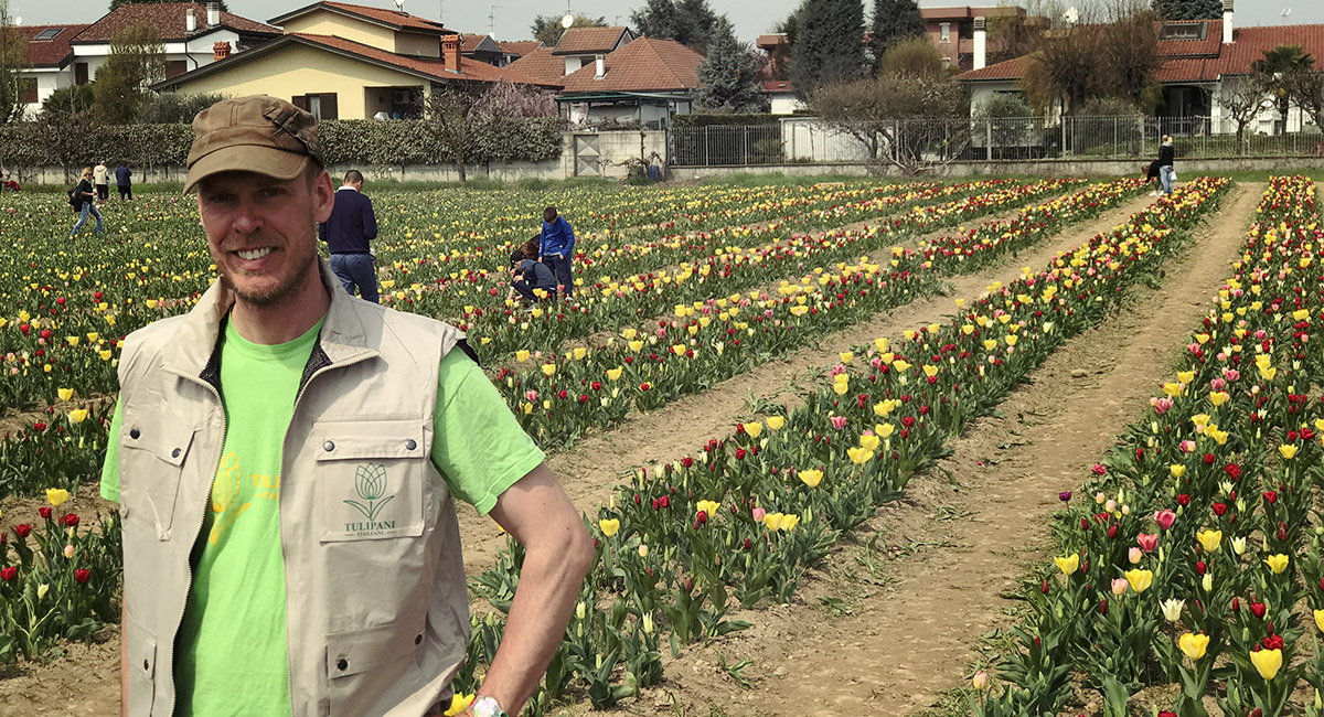 Tulipani italiani 2018 a Cornaredo: ultimi giorni per ammirare i tulipani